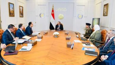 الرئيس السيسي يتابع البرامج القائمة والمستقبلية للدفع بجهود التنمية في سيناء